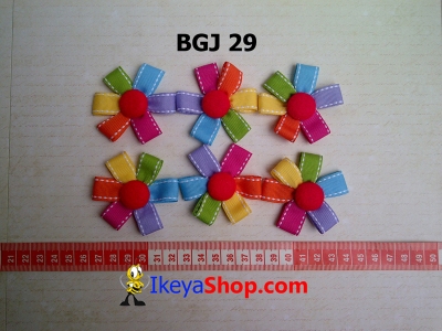 BGJ 29  large2